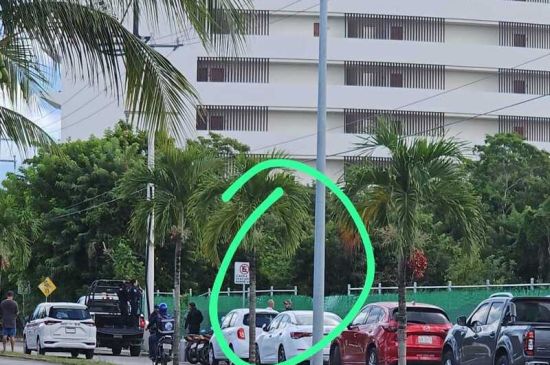Secretario que liberó al activista en Cozumel fue el mismo que clausuró la terminal de cruceros